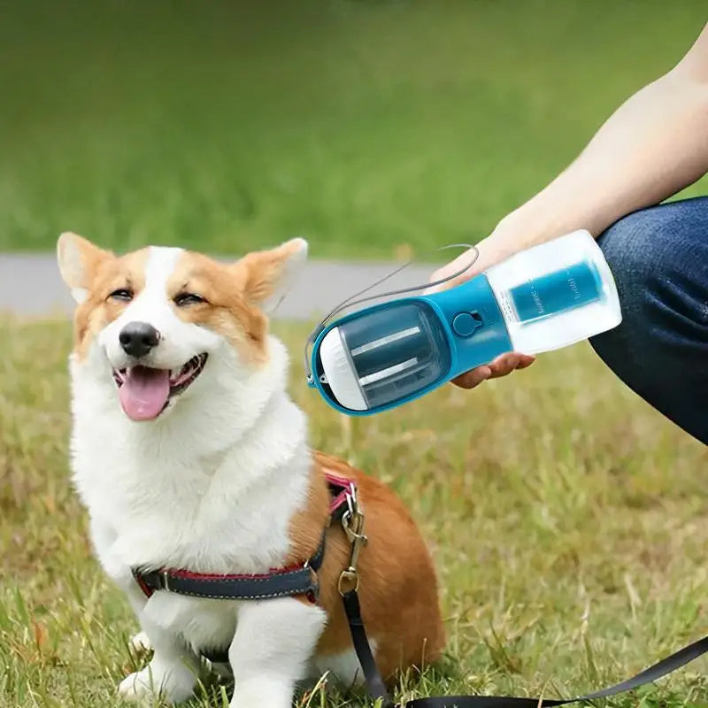 Portable 3-in-1 Pet Water Cup